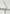 Guillo ice 14k, 20cm x 6.1 mm